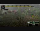 【MHP】のんびり「モンスターハンターポータブル」　その2