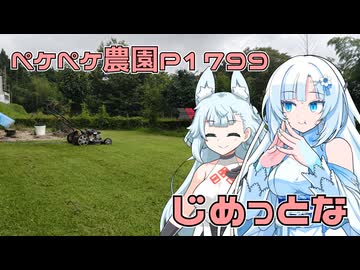 2026年7月27日　日記1799　草原が増えてきたので草刈を少し少し始めたよ