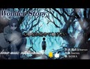 Wonder Story