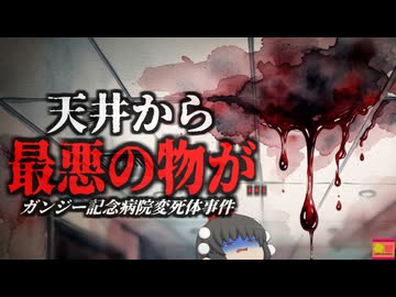 【2019】『病院の天井から変死体』大腿骨を骨折した患者が突然失踪。しかしある時から病院で異臭騒ぎがあり、天井を調べてみると…『マハトマガンディー記念病院変死体事件』をきめぇ丸解説（リメイク