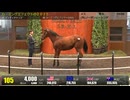【セレクトセール2026】 １日目１歳馬 上場番号91～120