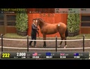 【セレクトセール2026】 １日目１歳馬 上場番号211～240