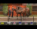 【セレクトセール2026】 ２日目当歳馬 上場番号301～330