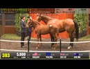 【セレクトセール2026】 ２日目当歳馬 上場番号361～390