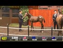 【セレクトセール2026】 ２日目当歳馬 上場番号421～450