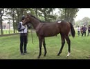 【セレクトセール2026】 ２日目当歳馬 直前展示