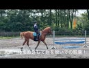 ソルカくん！お客様レッスン