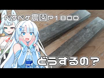 2026年7月28日　日記1800　雨が降っていたので・・・午後はフリーです