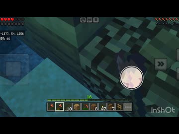 Minecraft No.48