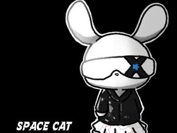 Space Cat