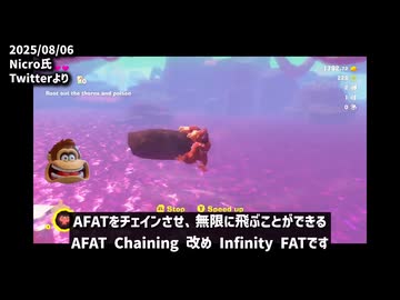 【完全解説】ドンキーコングバナンザRTAの歴史 後編