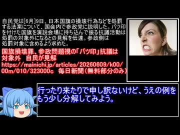 国旗のようなもの損壊罪（国旗損壊罪・大迫真）