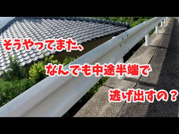 長崎ベイサイドマラソンpart1　エントリーへの道