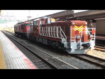 【北海道】JR北海道DD200-501電気式ディーゼル機関車甲種輸送(20260729)【仕様】