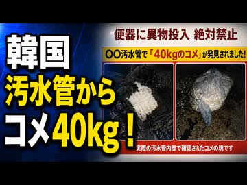 韓国の汚水管から米40キロ見つかる
