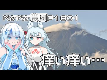2026年7月29日　日記1801　夜になると手が痒い、足が痒い、あちらこちら痒い