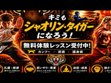 □ Shaolin Tigers 少林タイガース | Amazing Kung Fu Kids! 未来の武術家たち He Yong Gan Martial Arts