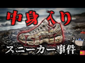 【2007】『靴を履いた腐敗した足』次々と海岸に打ち上げられる人間の足。30年近く前の行方不明者の足首がなぜ今になって？20個以上同じような足が打ち上げられる謎をきめぇ丸解説
