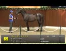【2026北海道セレクションセール】1日目　上場番号61～90