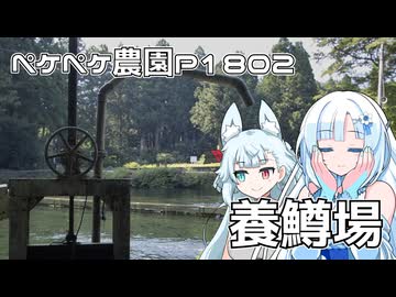 2026年7月30日　日記1802　痒いので休日として富士養鱒場へ行って来た