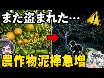 【深刻】日本で急増する！農作物泥棒の実態