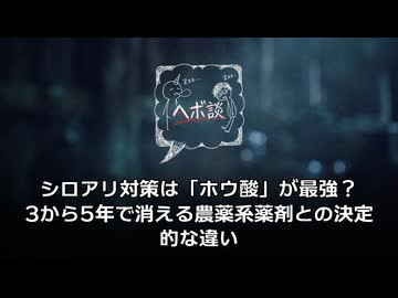 【半永久的】シロアリ対策は「ホウ酸」が最強？3〜5年で消える農薬系薬剤との決定的な違い
