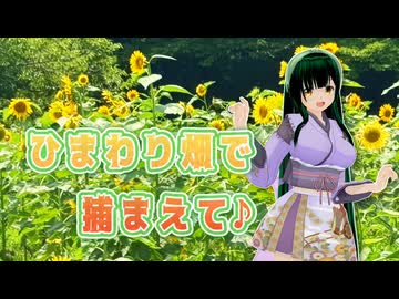 【ソフトウェアトーク旅行】ひまわり畑で捕まえて【東北ずん子】