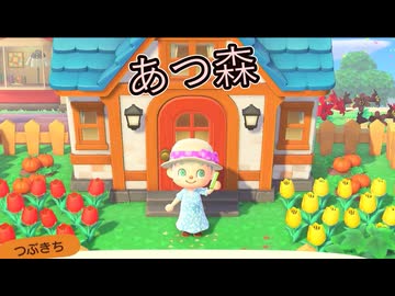 【あつまれ どうぶつの森】快晴。