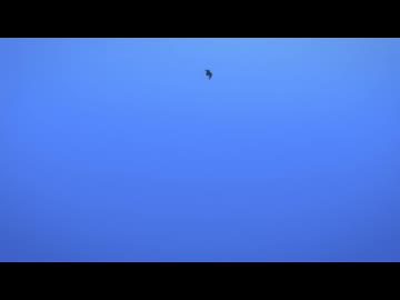 既出かも