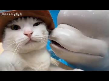 ホモと見る水族館へ遊びに行く猫系youtuber