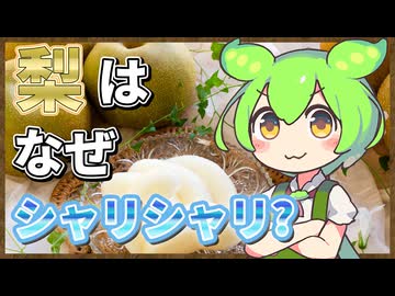 ずんだもんのたべもののヒミツ　‐梨のヒミツ‐