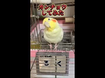【閲覧注意】モモヒキ隊にカンチョウしたら修羅場になった件ｗ