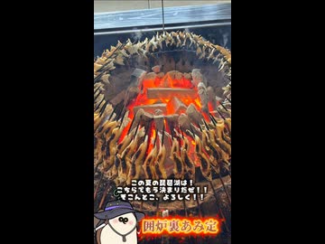 【いいごはん！！】鮎！！囲炉裏あみ定！！！
