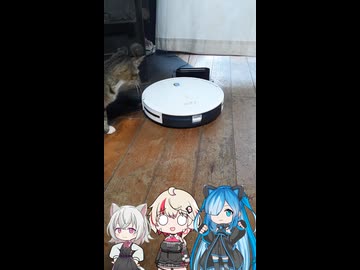 猫とロボ