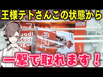 撮影リベンジしたらテトさんがまた取れちゃった!?【クレーンゲーム】