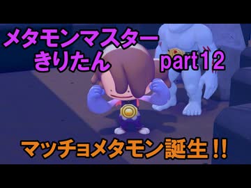 メタモンマスターきりたん　1２へんげ【ぽこあポケモン】