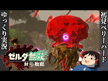 【初見ベリーハード#16】ベリハで美しき噴泥の魔人と激戦を繰り広げる時を渡りしゼルダ姫【ゼルダ無双封印戦記/ゆっくり実況】