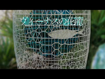 ヴィーナスの花籠/feat.凪乃ヒマワリ
