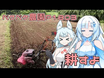 2026年7月31日　日記1803　暑いような気もするけど耕運機で耕すよ