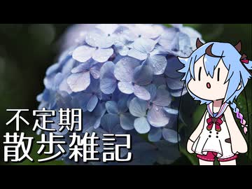 不定期散歩雑記_115 - 梅雨のお散歩