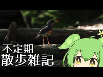 【第12回ひじき祭】不定期散歩雑記_116 - 三瓶山探鳥