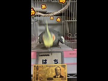 はちハウスで最高にイキる長老なな（笑）スッキリした後の行動が面白かった。