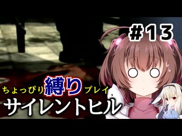 ちょっぴり縛りで【サイレントヒル】を一人と一羽がプレイ part13