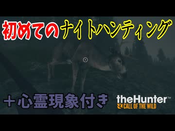 夜の狩りは危険がいっぱい！？普通に見えねえぜ！【theHunter:Call of the Wild】