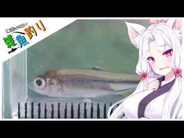 【VOICEROIDフィッシング】東北イタコの雑魚釣り６