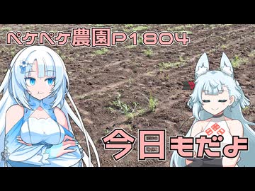 2026年8月1日　日記1804　前日に引き続き畑を耕しています