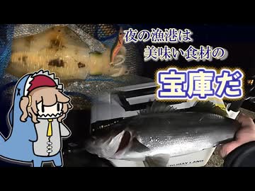 【春日部つむぎと見る！】 アオリイカとヒラスズキ釣れたからお刺身！ムニエル！バター醤油焼き！編
