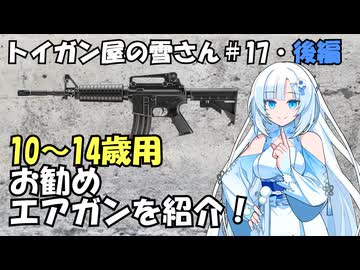 ・後編【ソフトウェアトーク解説】10～14歳用おすすめトイガン紹介！【トイガン屋の雪さん＃17】