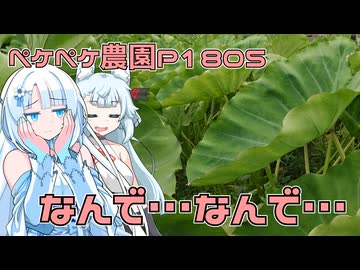 2026年8月2日　日記1805　天気がすこぶる悪くて雨が降る