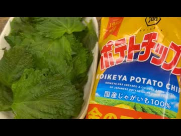 ホモと見るポテチの神アレンジ